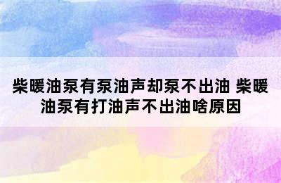 柴暖油泵有泵油声却泵不出油 柴暖油泵有打油声不出油啥原因